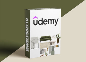Interior Design Basics
