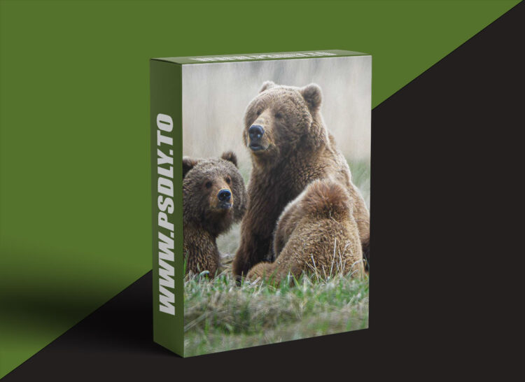 KelbyOne - Wildlife Photography: Land of the Giants 1 KelbyOne - Wildlife Photography: Land of the Giants
