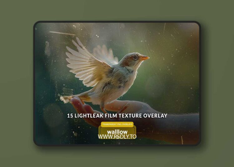 Creativemarket - Light leaks & film texture overlays 1 Light leaks & film texture overlays