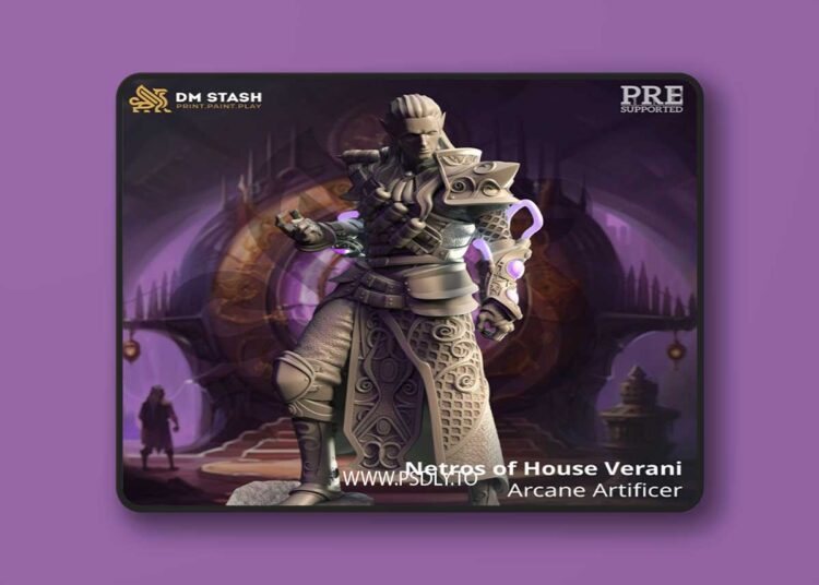 Netros of House Verani – Arcane Artificer – 3D Print 1 Netros of House Verani – Arcane Artificer – 3D Print