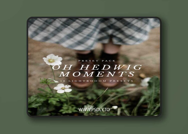 Oh Hedwig Moments - Lightroom Presets 1 Oh Hedwig Moments - Lightroom Presets