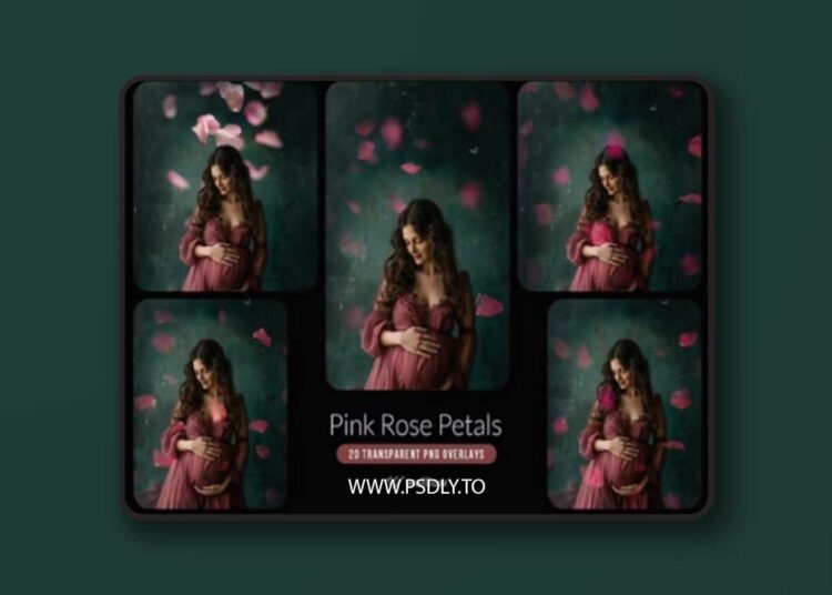 Pink rose flower petals transparent PNG overlays 1 Pink rose flower petals transparent PNG overlays