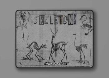 Skeletons - 80+ PNG Elements