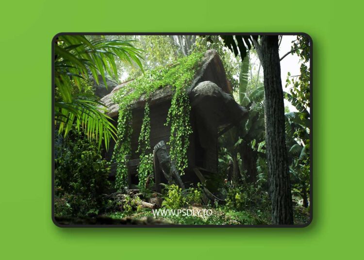 Tropical Island Pack (5.1+) for Unreal Engine 1 Tropical Island Pack (5.1+)