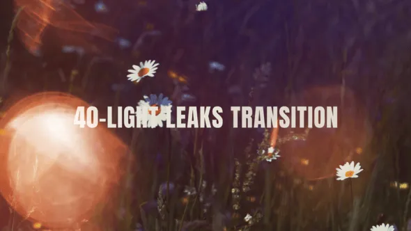 Videohive - 40+ Light Leak Transitions Pack - 59006378 1 Videohive - 40+ Light Leak Transitions Pack - 59006378