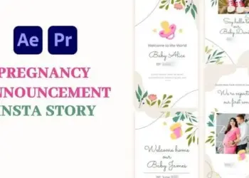 Videohive - Pregnancy Announcement Instagram Story - 59140475