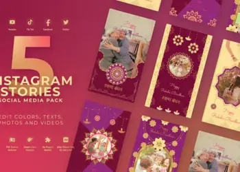 Videohive - Raksha Bandhan Vertical Greeting - 59050125