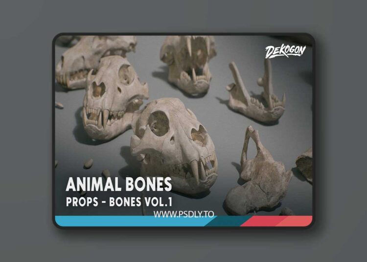 Bones VOL.1 - Animal Bones 1 (Nanite + Low Poly) (5.5) 1 Bones VOL.1 - Animal Bones 1 (Nanite + Low Poly) (5.5)