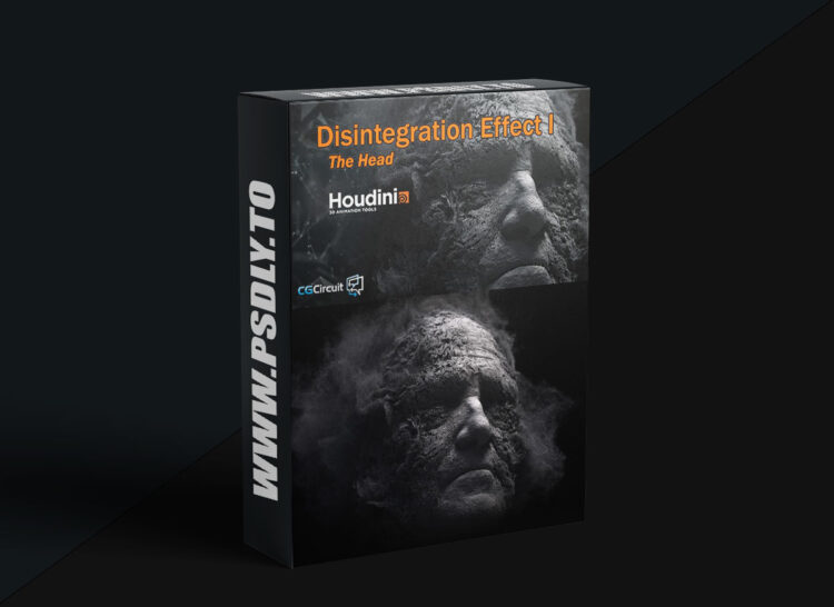CG Circuit - Disintegration Effect I 1 CG Circuit - Disintegration Effect I