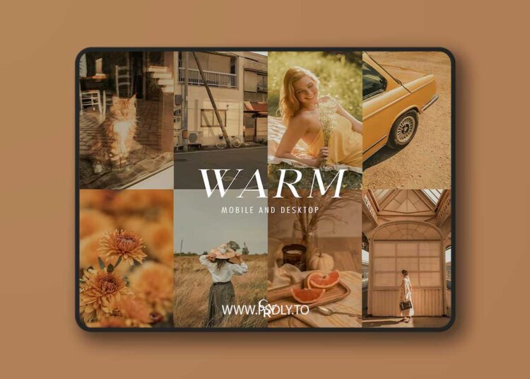 CVRPresets - Warm Lightroom Presets 1 CVRPresets - Warm Lightroom Presets