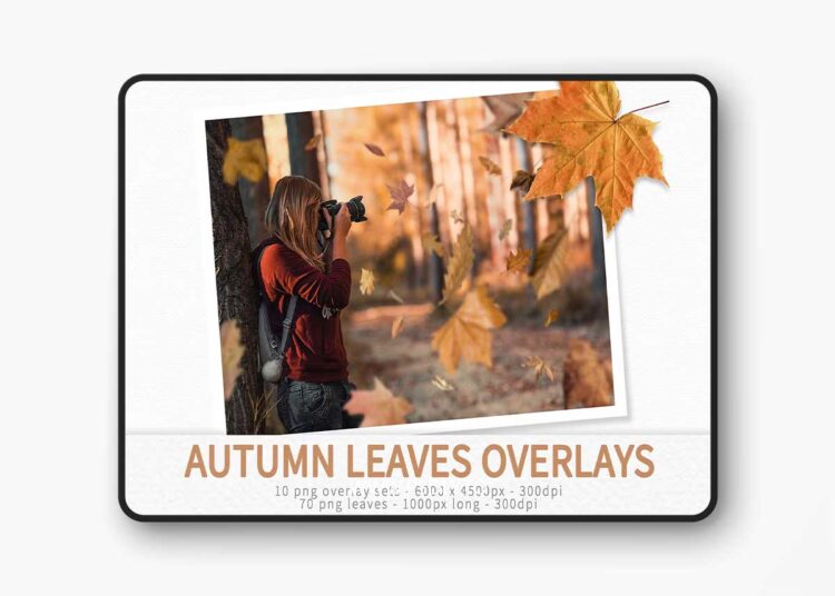Creativemarket - Autumn Leaves Overlays 1 Creativemarket - Autumn Leaves Overlays