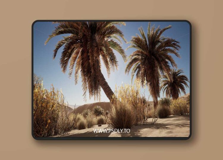 Desert Vegetation (5.0+) for Unreal Engine 1 Desert Vegetation (5.0+)