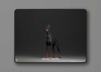 Dobermann (4.27 and 5.0 – 5.6)