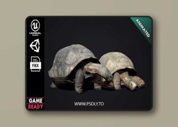 Galapagos Tortoise (4.27+)
