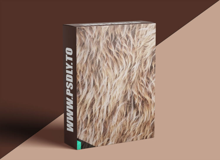 Gumroad - Levelup Digital - Creating a Smart Fur Material | QiYu Dai 1 Gumroad - Levelup Digital - Creating a Smart Fur Material | QiYu Dai