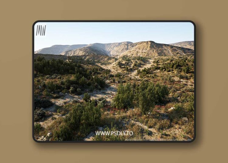 MW Shrubs & Bushes Biome (5.2 – 5.6) for Unreal Engine 1 MW Shrubs & Bushes Biome (5.2 – 5.6)