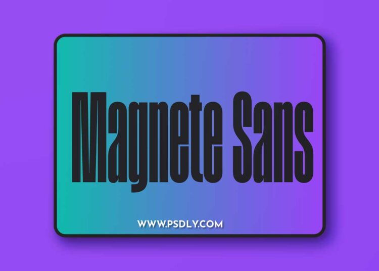 Magnete Sans Font Family 24xOTF 1 Magnete Sans Font Family 24xOTF