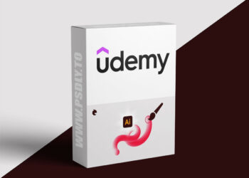Master Adobe Illustrator: 5 Levels, 5 Hours