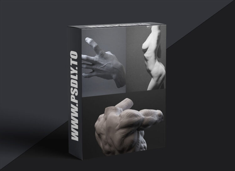 Mold 3D Academy - Artistic Anatomy - Daniel Crossland 1 Mold 3D Academy - Artistic Anatomy - Daniel Crossland