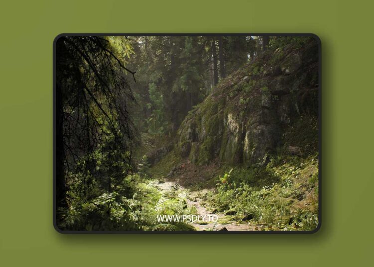 Nordic Conifer Biome (5.0 – 5.6) for Unreal Engine 1 Nordic Conifer Biome (5.0 – 5.6)