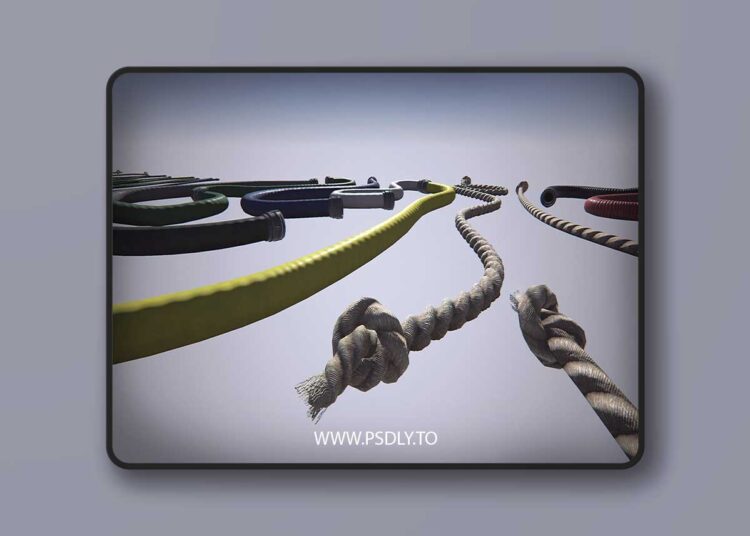 Spline: Ropes - Hoses - Sci-fi (5.0 – 5.6) 1 Spline: Ropes - Hoses - Sci-fi (5.0 – 5.6)