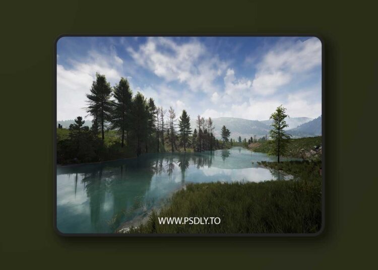 Stone Pine Forest (5.0) for Unreal Engine 1 Stone Pine Forest (5.0)