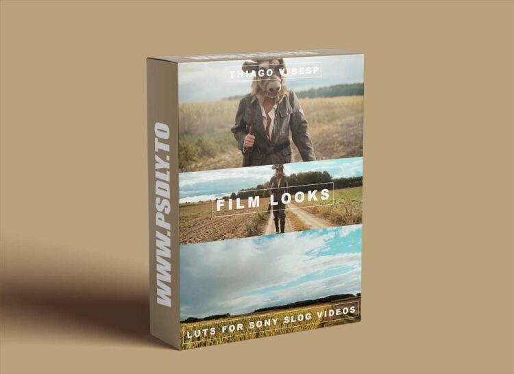 Thiago Vibesp - Premium Sony S-Log LUTs Collection 1 Thiago Vibesp - Premium Sony S-Log LUTs Collection