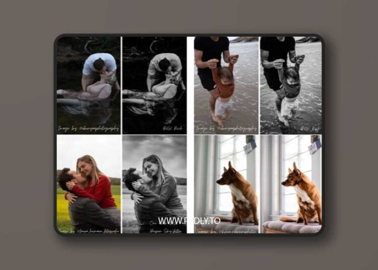Anna Tenne - MASTER LIGHTROOM CLASSIC 1 Anna Tenne - MASTER LIGHTROOM CLASSIC