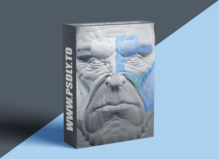 CGCookie - Intro to Retopology with the RetopoFlow Add-on 1 CGCookie - Intro to Retopology with the RetopoFlow Add-on