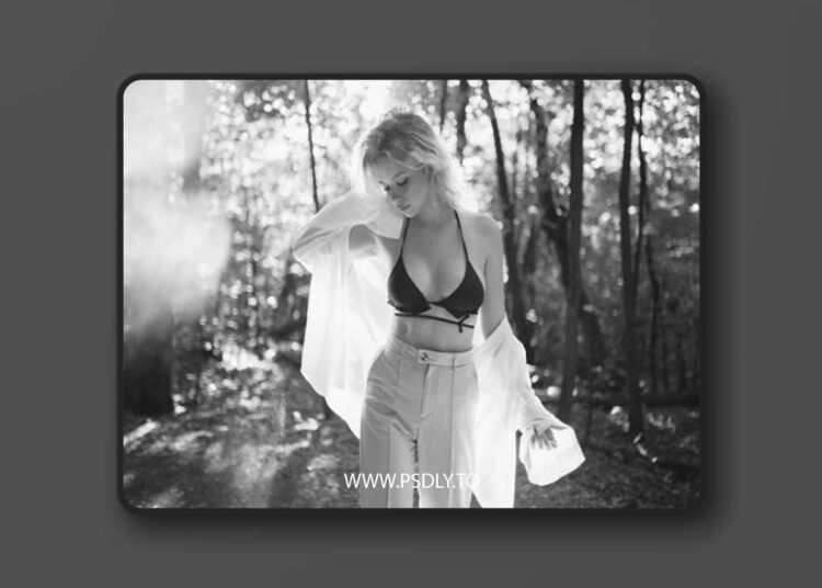 Cobalt Image - Silver Film 1 Cobalt Image - Silver Film
