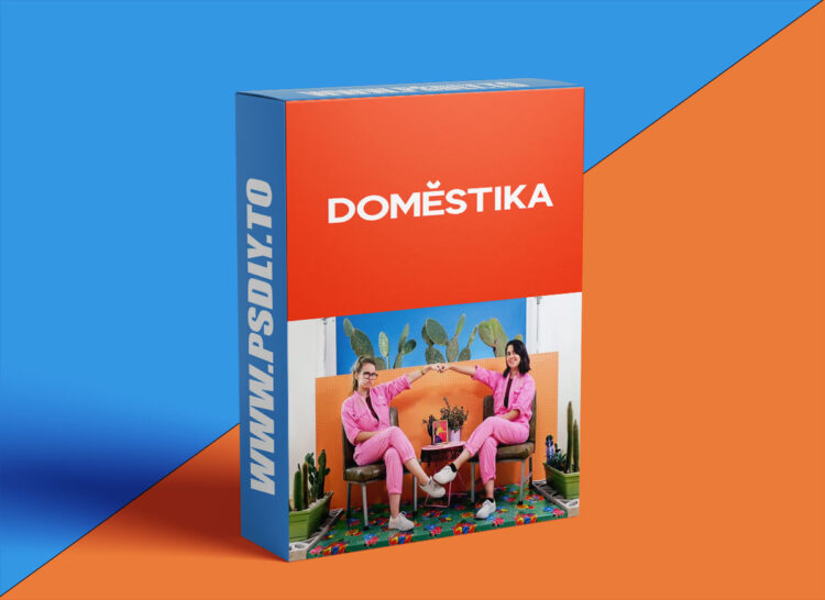 Domestika - Art Direction and Creativity in Movement 1 Domestika - Art Direction and Creativity in Movement
