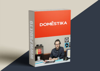 Domestika - Contemporary Brand Identity: Using Verbal and Visual Branding