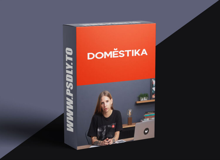 Domestika - How to Be a Freelance Filmmaker: Producing and Directing 1 Domestika - How to Be a Freelance Filmmaker: Producing and Directing
