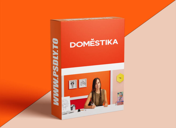 Domestika - The Art of Manga: Drawing Unique Characters 1 Domestika - The Art of Manga: Drawing Unique Characters