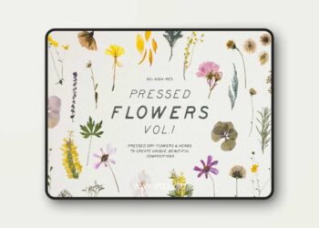 Pressed Dry Flowers & Herbs Vol.1