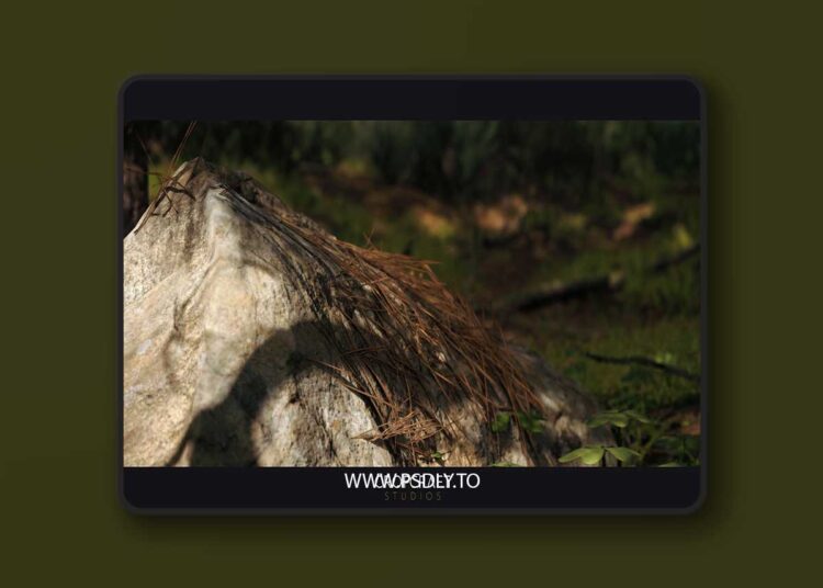 Red Pine Biome (5.2 – 5.6) for Unreal Engine 1 Red Pine Biome (5.2 – 5.6)
