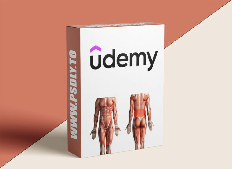 Udemy – Strengthen Your Lower back muscles: Support Bed performance 1 Strengthen Your Lower back muscles: Support Bed performance