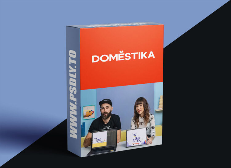 Domestika - Loop Animation with Mixed Illustration Techniques 1 Domestika - Loop Animation with Mixed Illustration Techniques