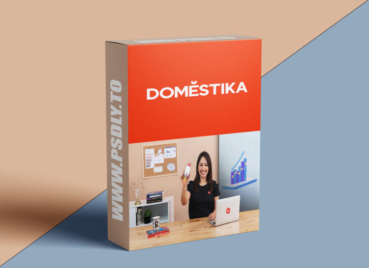 Domestika – Growth Marketing Strategies 1 Growth Marketing Strategies