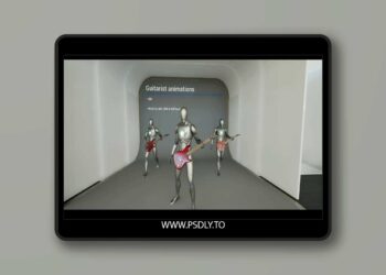 Guitarist Animations (5.3+)