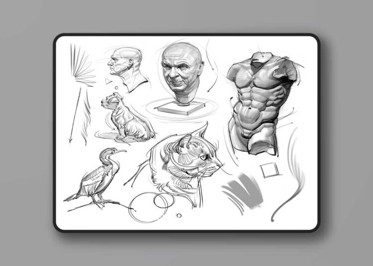 Gumroad - Brush Pack for Sketching and Painting! 1 Gumroad - Brush Pack for Sketching and Painting!