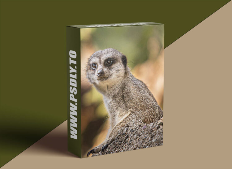 KelbyOne - The Art of Zootography 1 KelbyOne - The Art of Zootography
