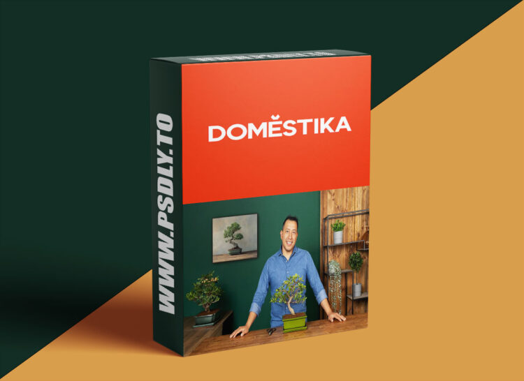 Domestika – Mastering the Art of Bonsai: Growing and Shaping Techniques 1 Mastering the Art of Bonsai: Growing and Shaping Techniques