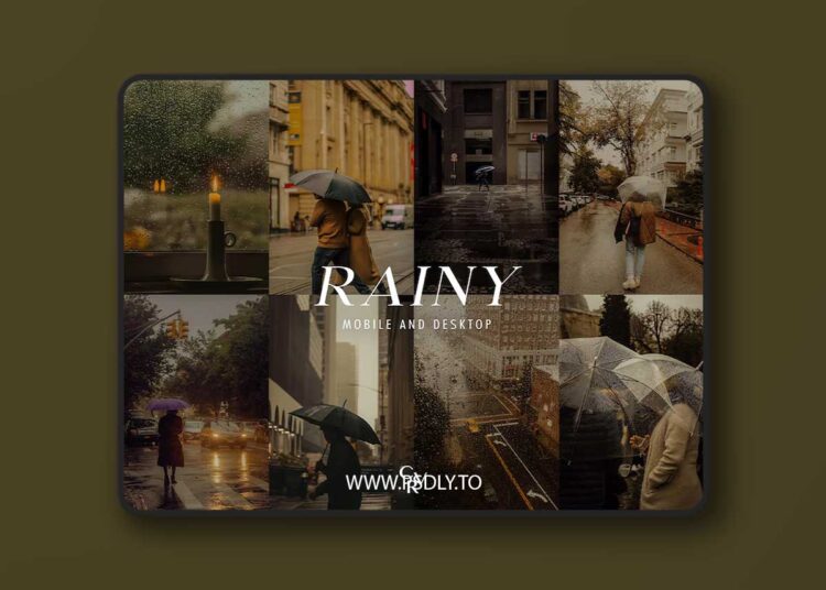 Rainy Day Lightroom Presets: Moody Film Filter 1 Rainy Day Lightroom Presets: Moody Film Filter