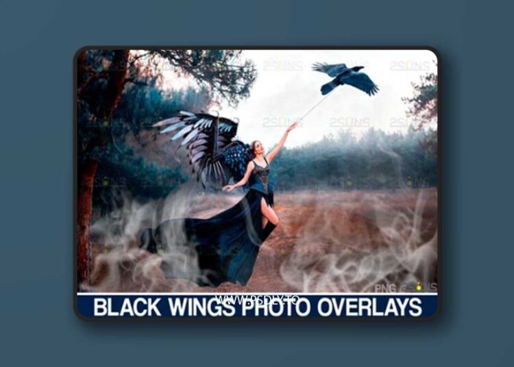 Realistic Black Angel Wings Photoshop 4181434 1 Realistic Black Angel Wings Photoshop 4181434