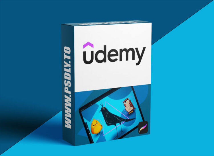 Udemy – Shape Language In Illustration For Beginners In Procreate 1 Shape Language In Illustration For Beginners In Procreate