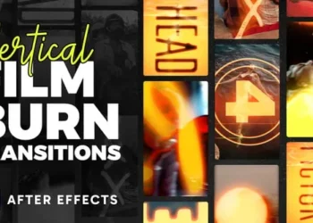 Vertical Film Burning Transitions