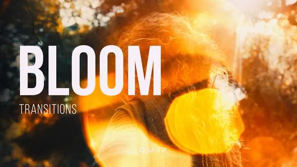 Videohive - Bloom Transitions for After Effects - 60506513 1 Videohive - Bloom Transitions for After Effects - 60506513