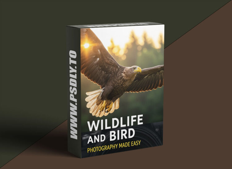 Wildlife and Bird Photography Made Easy 1 Wildlife and Bird Photography Made Easy