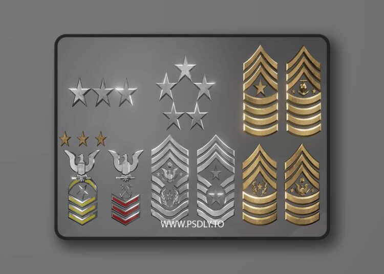 3D Military Insignia Set (4.12 - 4.27, 5.0 - 5.7) 1 3D Military Insignia Set (4.12 - 4.27, 5.0 - 5.7)